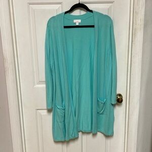 Belle by Kim Gravel mint green  Knit cardigan